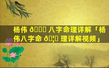 杨伟 🐘 八字命理详解「杨伟八字命 🦍 理详解视频」
